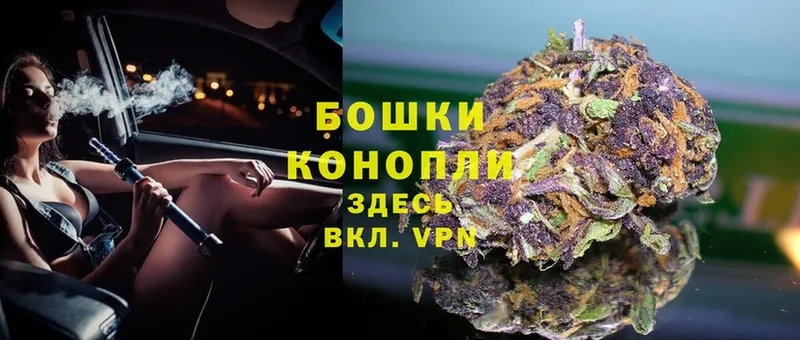 Бошки Шишки THC 21%  нарко площадка телеграм  Нарьян-Мар  купить наркотики цена 